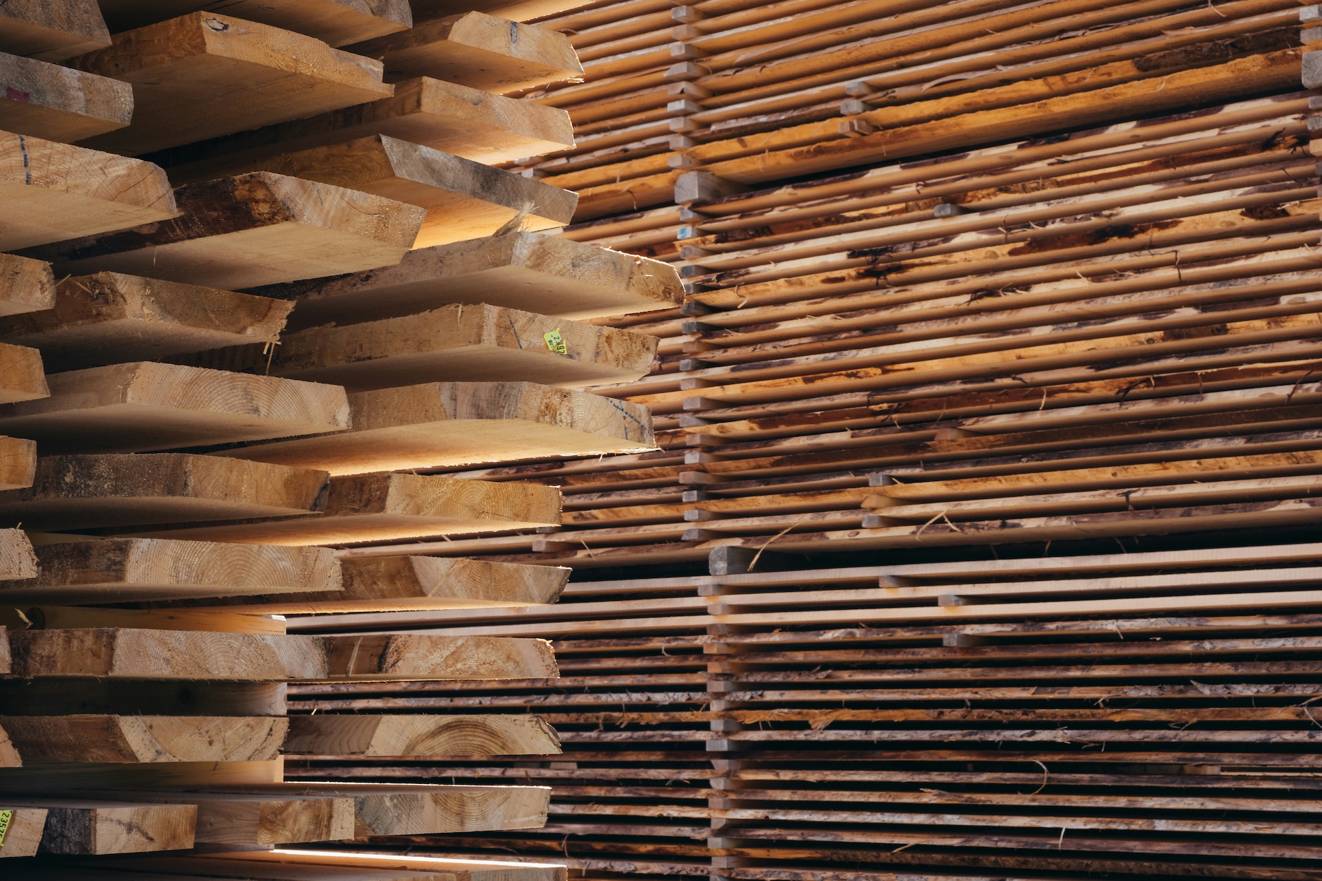 magazzino assi di legno